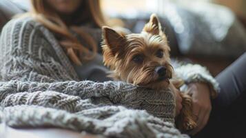 une femme séance confortablement dans une confortable fauteuil une petit chien niché à côté de sa sur une doux couverture photo