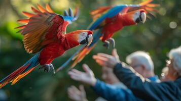 une groupe de les personnes âgées participer dans une observation des oiseaux excursion émerveillé à le majestueux perroquets en volant aérien et sentiment une sens de lien à la nature et chaque autre photo