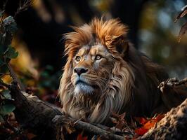 ai généré Lion dans le forêt sur une flou Contexte génératif ai photo