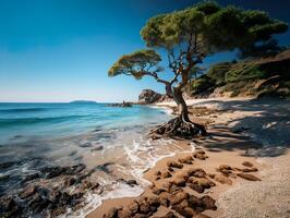 ai généré arbre par le océan génératif ai photo