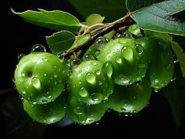 ai généré vert pommes sur branches dans rosée génératif ai photo