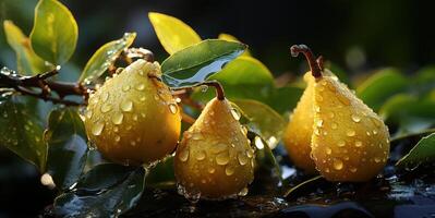 ai généré poires sur branches dans rosée génératif ai photo