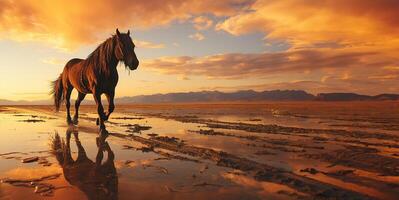 ai généré cheval à le coucher du soleil génératif ai photo