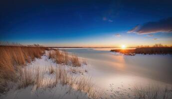 ai généré couvert de neige rive avec Jaune herbe à le coucher du soleil génératif ai photo