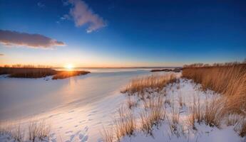 ai généré couvert de neige rive avec Jaune herbe à le coucher du soleil génératif ai photo