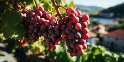 ai généré juteux les raisins fermer génératif ai photo