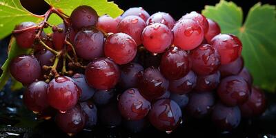 ai généré juteux les raisins fermer génératif ai photo