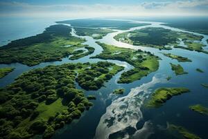 ai généré rivière delta de une des oiseaux œil vue génératif ai photo