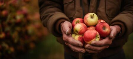 ai généré agriculteur en portant pommes dans le sien mains génératif ai photo