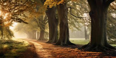 ai généré l'automne forêt ruelle génératif ai photo