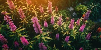 fleurs sauvages dans la forêt photo