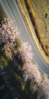 printemps fleurs le long de le route vue de au dessus photo