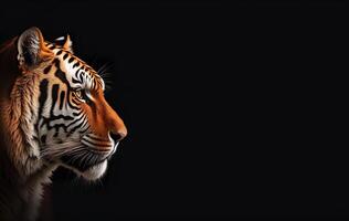 tigre tête dans profil sur une noir Contexte bannière photo