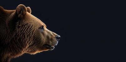 ours tête dans profil sur une noir Contexte bannière photo