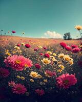 fleurs dans le Prairie contre le bleu ciel photo