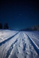 paysage de nuit d'hiver photo