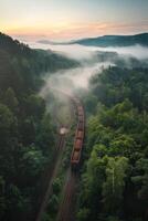 brouillard dans forêt aérien vue photo