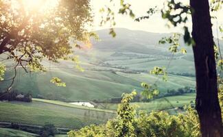 paysage de collines toscanes avec lens flare photo