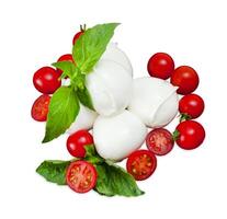 mozzarella di le buffle, Frais fromage, italien laitier produit. photo