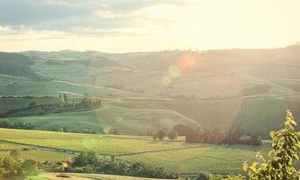 paysage de collines toscanes avec lens flare photo