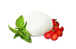 mozzarella di le buffle, Frais fromage, italien laitier produit. photo