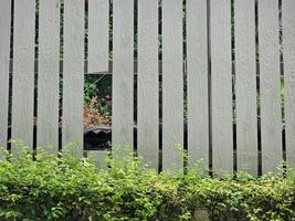 vieux blanc clôture mur de le maison a été endommagé et avait des trous dans il. photo