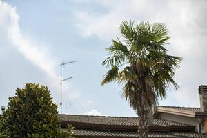 paume des nuages toits dans printemps 2 photo