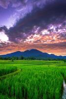 magnifique Matin vue de Indonésie de montagnes et tropical forêt photo