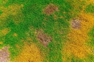 Contexte avec coloré abstrait indonésien la nature pour affaires photo