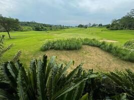 parc avec vert herbe et des arbres contre une très clair ciel photo