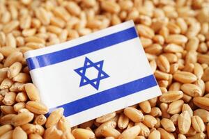 Israël drapeau sur grain blé, Commerce exportation et économie concept. photo