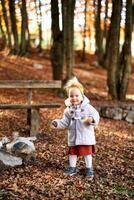 peu fille avec une chignon dans sa main des stands sur déchue feuilles près une parc banc photo