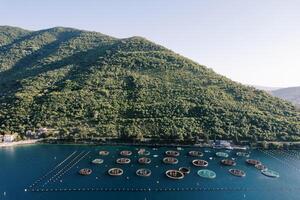 poisson ferme clôturé avec bouées dans le mer de le Montagne côte. drone photo