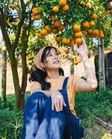 femme est séance dans le herbe et cueillette des oranges de une arbre photo