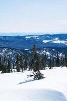 neige couvert hivernal Montagne paysage. photo