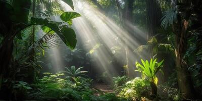 tropical pluie jungle Profond forêt avec bébé rayon lumière brillant. la nature Extérieur aventure vibe scène Contexte vue photo