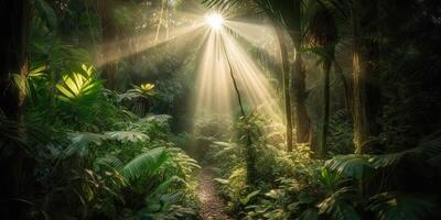 tropical pluie jungle Profond forêt avec bébé rayon lumière brillant. la nature Extérieur aventure vibe scène Contexte vue photo