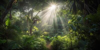 tropical pluie jungle Profond forêt avec bébé rayon lumière brillant. la nature Extérieur aventure vibe scène Contexte vue photo