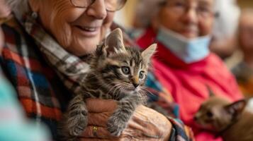 une retraite communauté résident détient une petit chaton dans leur tour entouré par divers personnes âgées personnes en jouant avec autre chats et chiens amené dans de une local abri photo
