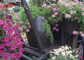 une wagon rempli avec fleurs et les plantes photo