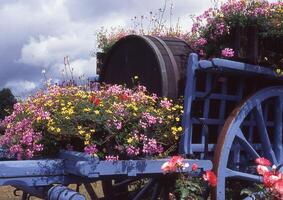 une wagon avec fleurs sur il photo