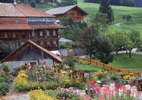 une fleur jardin dans de face de une maison photo