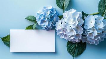 maquette de une blanc carte à côté de bleu hortensia bouquet, doux pastel tons photo