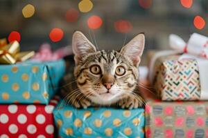 une chat furtivement en dehors de une pile de chat journée cadeaux, espiègle et mignonne dans une décoré réglage photo