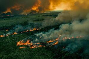 aérien vue de une forêt feu, patchs de flammes diffusion imprévisible à travers le vert paysage photo