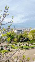 printemps panorama de Paris avec Frais bourgeons encadrement le scénique paysage urbain, idéal pour voyage, tourisme, et européen printemps vacances thèmes photo