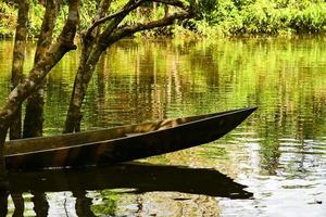 canoës, yasuni, amazone, équateur photo