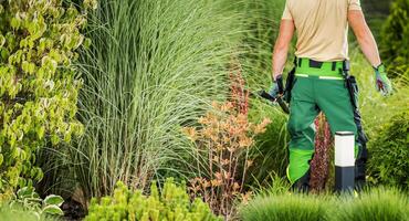 caucasien jardin ouvrier avec pro les ciseaux dans le sien mains photo