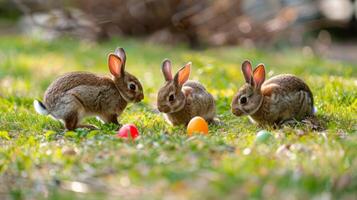 une Jeu de sur le thème de Pâques charades avec conseils comme lapin saut et Oeuf rouleau difficile équipes à devine correctement photo