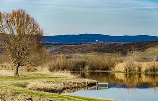 lac de pavlovac en serbie photo